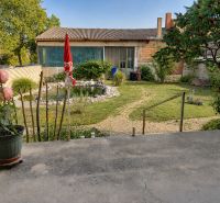 A garden at a family house in Podersdorf am See with a garden pond and vegetation.