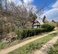 A cottage in Dolné Orešany on Dolné Orešany street surrounded by trees in spring.