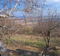 A garden at the cottage in Dolné Orešany with a view of the trees and landscape.