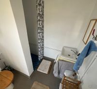 A bathroom with a toilet, sink, and shower in a cabin with a simple design.