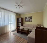 Living room in a 3-room apartment with a sofa and a wooden decor floor.