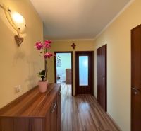 A hallway in a 3-room apartment with a wooden decor floor and a decorative plant.