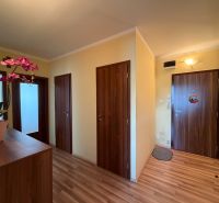 A hallway in a 3-room apartment with doors and flooring featuring a wood decor.