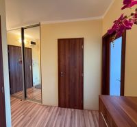 A hallway in a 3-room apartment with a wooden decor floor and a built-in wardrobe.