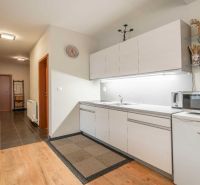 A kitchenette with a counter and a microwave, a floor with a wooden decor in a recreational apartment.