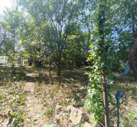 Gardens in Lučenec full of green trees and shrubs under a sunny sky.