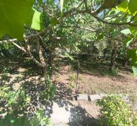 Gardens in Lučenec with lush vegetation and shady nooks among the trees.