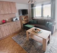 Living room in a cottage with wood-patterned flooring, a sofa set, and a coffee table.
