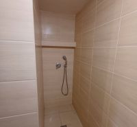 Bathroom with a barrier-free shower and light ceramic tiles in the cottage.