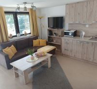 Living room in a cottage with a sofa, kitchenette, and wooden decor flooring.