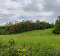 Plots - living on the main street in Tovarnianska Polianka surrounded by nature and greenery.