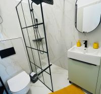 A bathroom in a 2-room apartment with a shower, a wall-hung toilet, and an orange rug.
