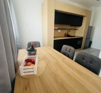 A kitchen in a 2-room apartment with a dining table and a wooden decor floor.