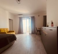 Living room in a two-room apartment with a wooden decor floor and a yellow sofa.