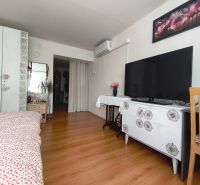 Bedroom with wood-patterned flooring, television, cabinet, and floral decoration.