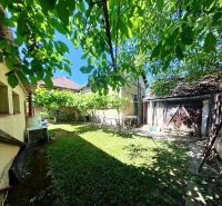 The garden of the family house at Sládkovičova 135 in Zlaté Moravce with a lawn and trees.
