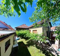 A family house on Sládkovičova 135 in Zlaté Moravce with a green yard and a vineyard.