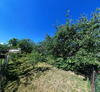 Garden at the family house on Sládkovičova Street 135, Zlaté Moravce, with fruit trees.