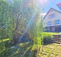 The garden at the family house on Na Vrších Street in Sázava with ornamental shrubs and steps.
