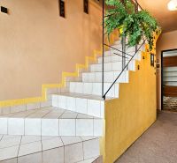The interior of a family house with tiled stairs, a plant, and wooden doors.