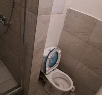 Bathroom with toilet and shower in a studio apartment.
