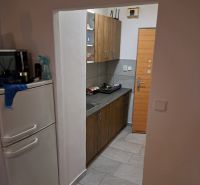 Studio apartment with a kitchenette, light flooring, and wooden cabinet decor.
