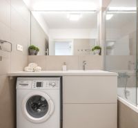 Bathroom with a shower, washing machine, and sink in a 2-room apartment.