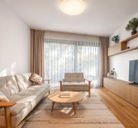 Living room in a two-room apartment, light furniture, aesthetic carpet, wooden decor flooring.
