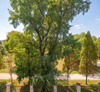 Trees and a path in the park, view from a 2-room apartment in Bratislava - Old Town on Banskobystrická.