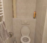 Bathroom with toilet, paper holder, and towel rack in a 2-room apartment.