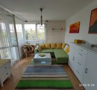 Living room in a two-room apartment with a corner sofa and a wooden decor floor.