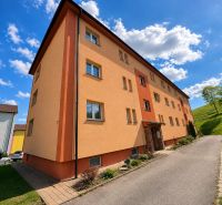Exterior of a 3-room apartment in Istebné, colorful facade, blue sky, green lawn.