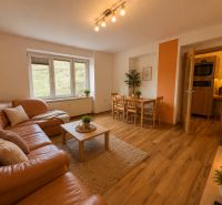 Living room of a three-room apartment with a wooden decor floor, leather sofa, and fireplace.