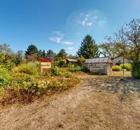 The garden around the cottage at Alžbetin Dvor in Miloslavov with diverse vegetation.