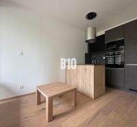 A kitchen corner with dark cabinets and a wooden decor floor in a 2-room apartment.
