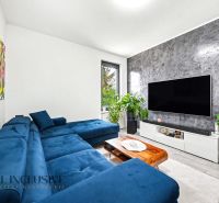 Living room in a 3-room apartment with a sofa bed, TV, and plants.
