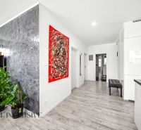 Interior of a 3-room apartment with a wooden decor floor, modern accessories, and houseplants.
