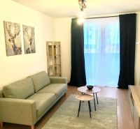 Living room in a two-room apartment with a sofa and tables on a floor with a wooden decor.
