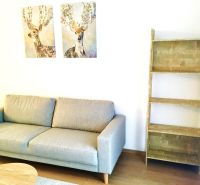 A comfortable sofa and a shelf in the living room of a 2-room apartment with paintings of deer.