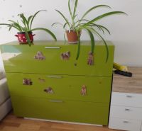 Green dresser with flowers and dog stickers, wooden decor floor, 2-room apartment.