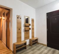 Entrance hall with a mirror and a coat rack, 4-room apartment with wood-patterned flooring.