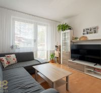 Living room in a 3-room apartment with a sofa, television, and wooden decor flooring.