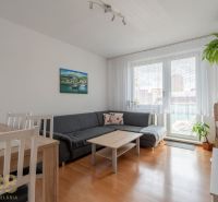 A bright living room in a three-room apartment with a wooden decor floor and a sofa.