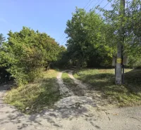 A visible branched path in the gardens of Kolačna surrounded by greenery and an electric pole.