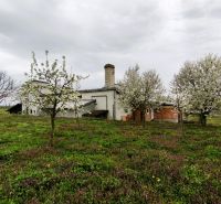 Production facilities in Lesenice surrounded by blooming trees and green grass.