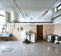 Production premises with a sink, accessories, wall-mounted boilers, and a hand truck.