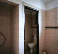 Bathroom in production facilities with toilet, sink, and shower.