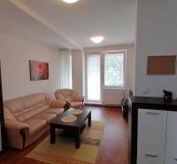 Living room in a two-room apartment with a wooden decor floor and a sofa.