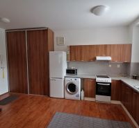 A kitchen in a 2-room apartment, wooden decor on the floor and kitchen unit.