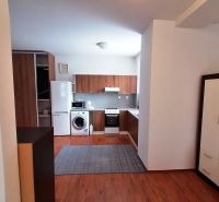 A kitchen with a wooden decor floor in a 2-room apartment, appliances, cabinets, carpet.